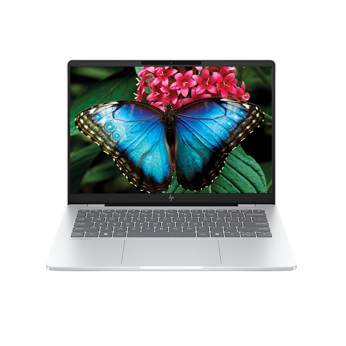 FTRHK-13944713-FRONT-x7I9Xy4U-zoom