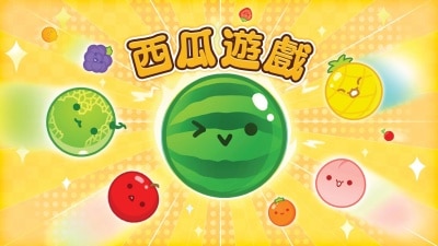 NINTENDO 任天堂 西瓜遊戲 特別版 遊戲軟件