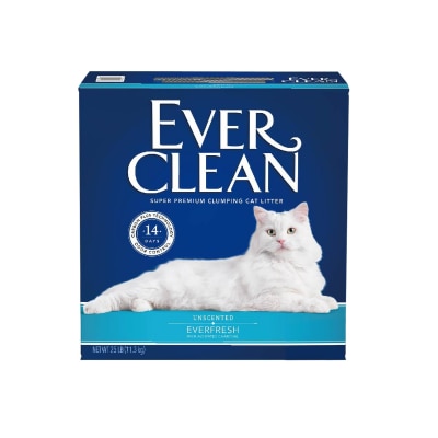 EVERCLEAN - EverFresh with Activated Charcoal (Unscented)