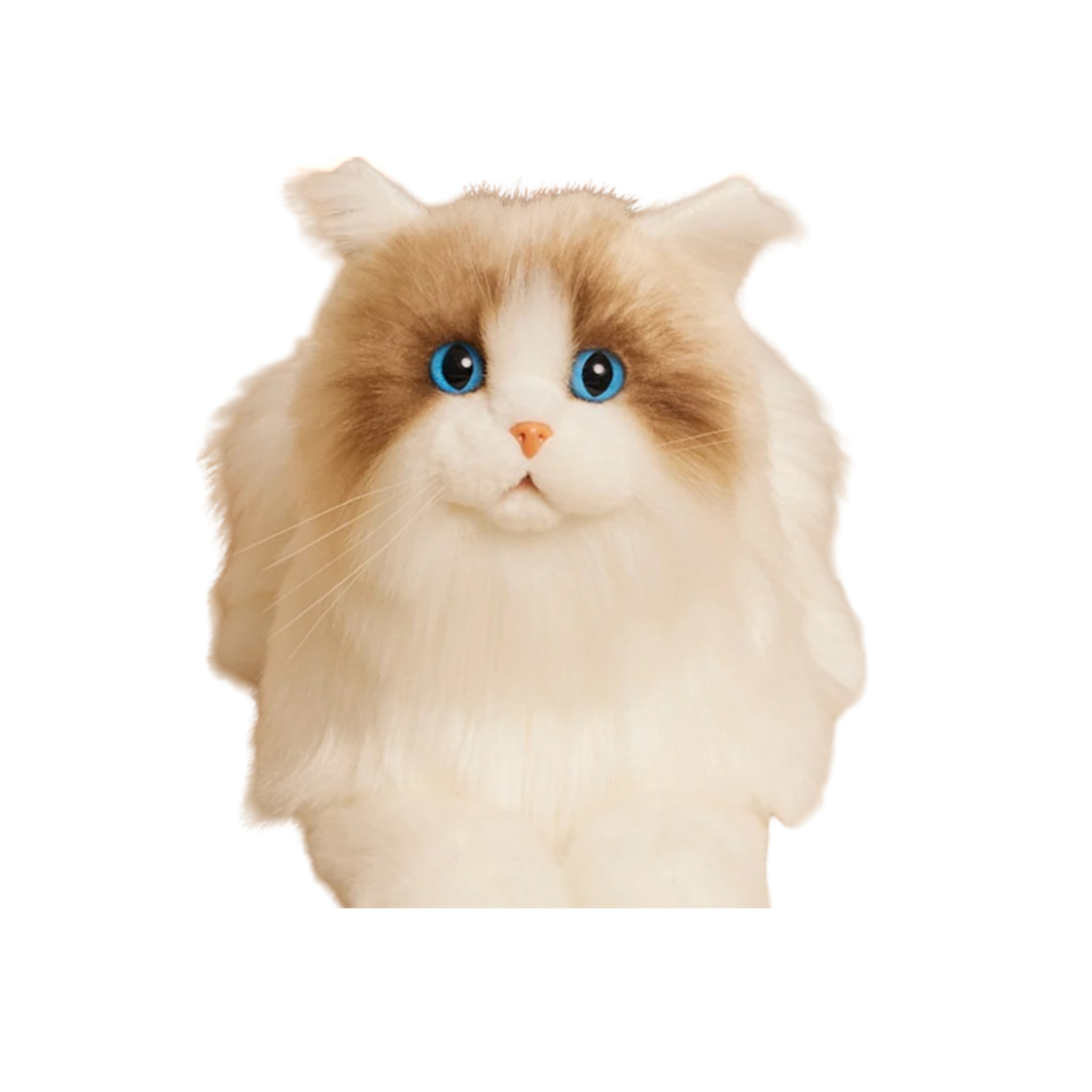 FTRHK-13963025-SIDE-zoom.png