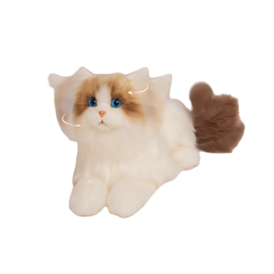 FTRHK-13963025-TOP-thumbnail.png