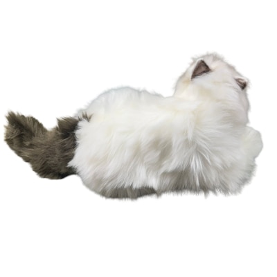 FTRHK-13963033-BACK-thumbnail.png