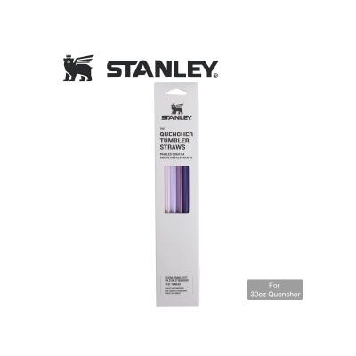 Stanley STANLEY 4P 30oz 随手杯吸管套装 - 紫