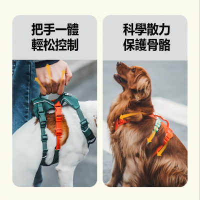 FTRHK-13999925-SIDE-thumbnail.png