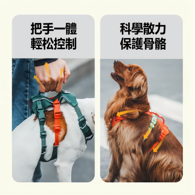 FTRHK-14000010-FEAT1-thumbnail.png