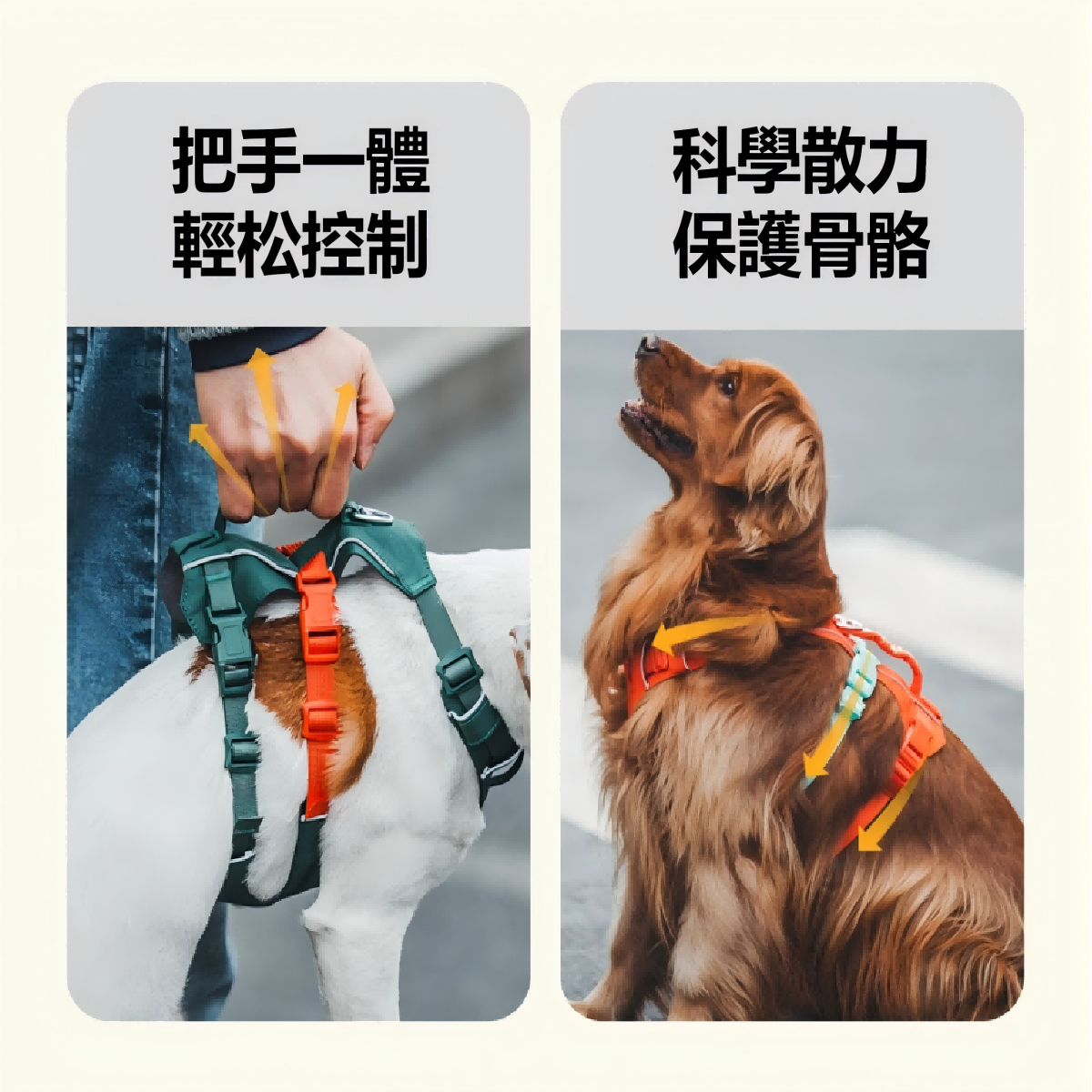 FTRHK-14000010-FEAT1-zoom.png