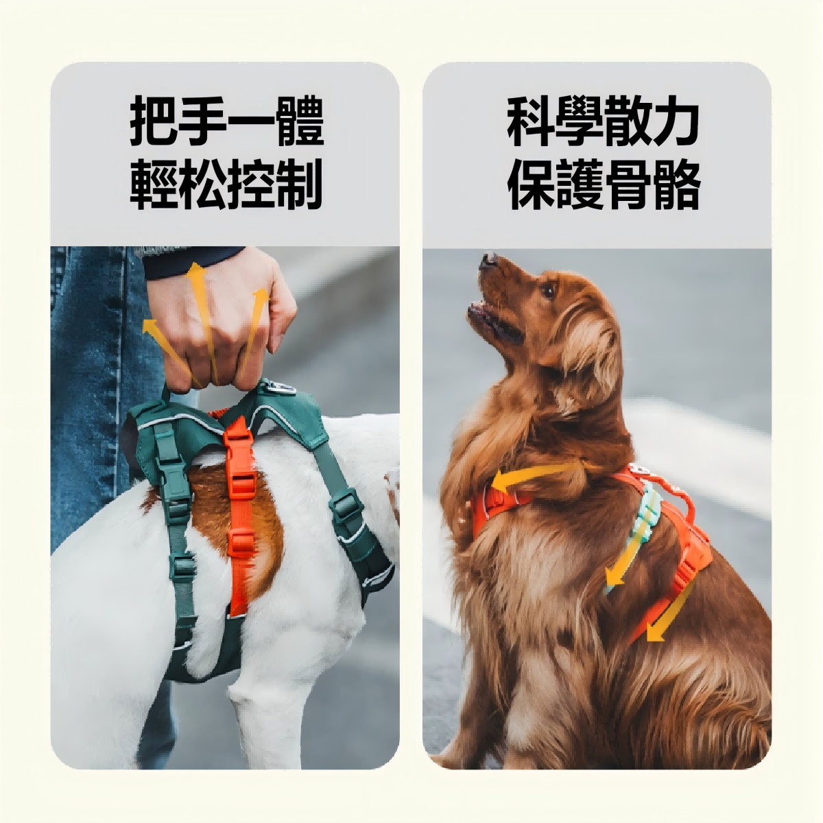 FTRHK-14000061-FEAT1-zoom.png