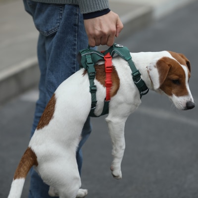 FTRHK-14000124-SIDE-thumbnail