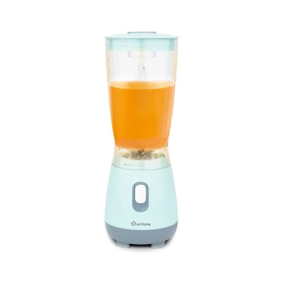 ecHome BL250GR 250W blender