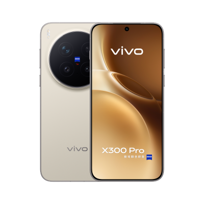 VIVO 維沃 X300 Pro 智能手機