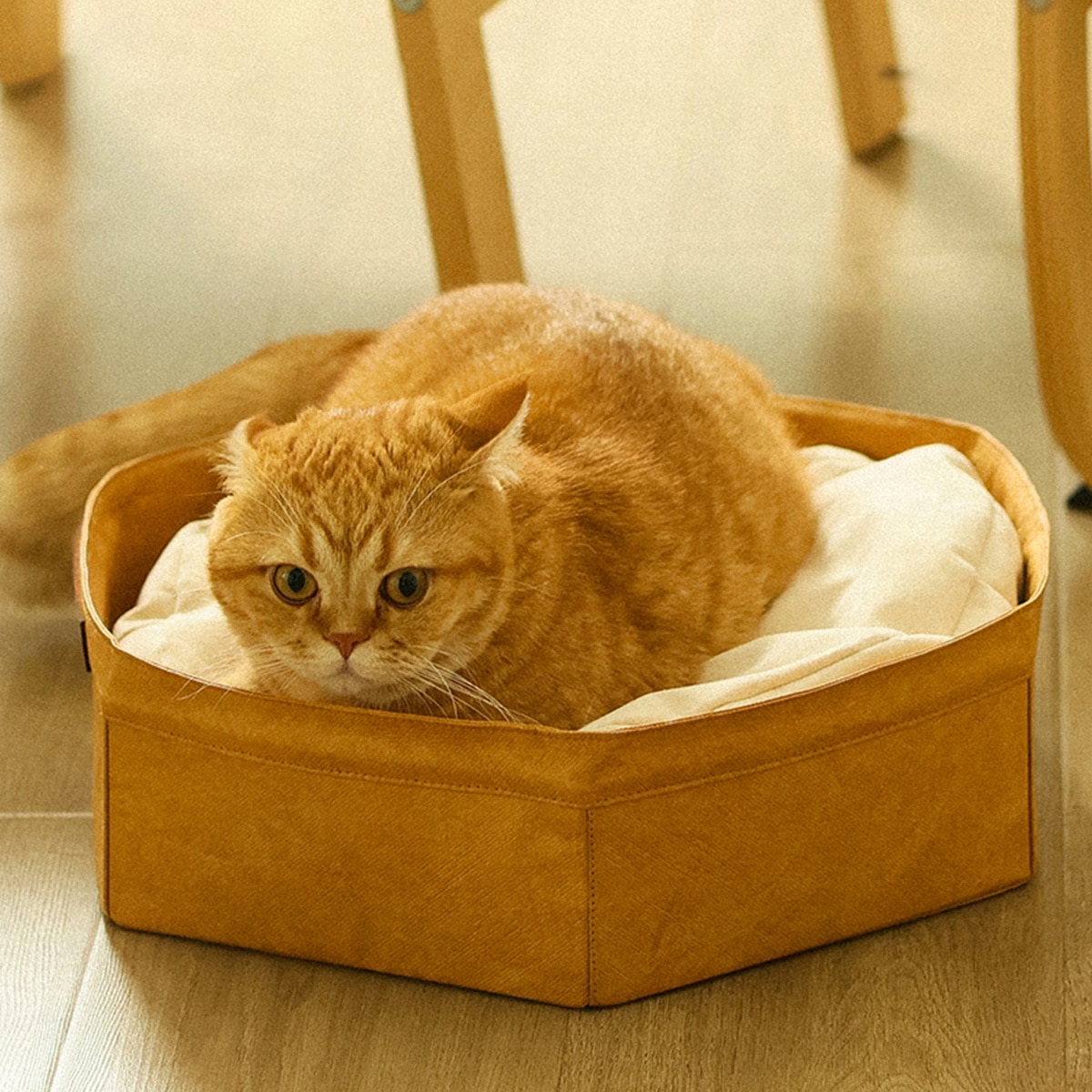 FTRHK-14023166-BACK-zoom