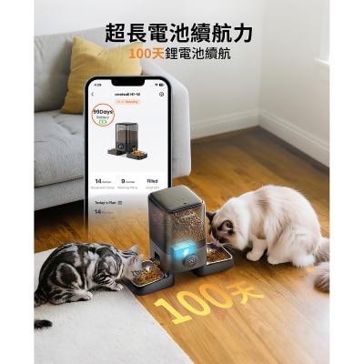 FTRHK-14036080-BACK-thumbnail