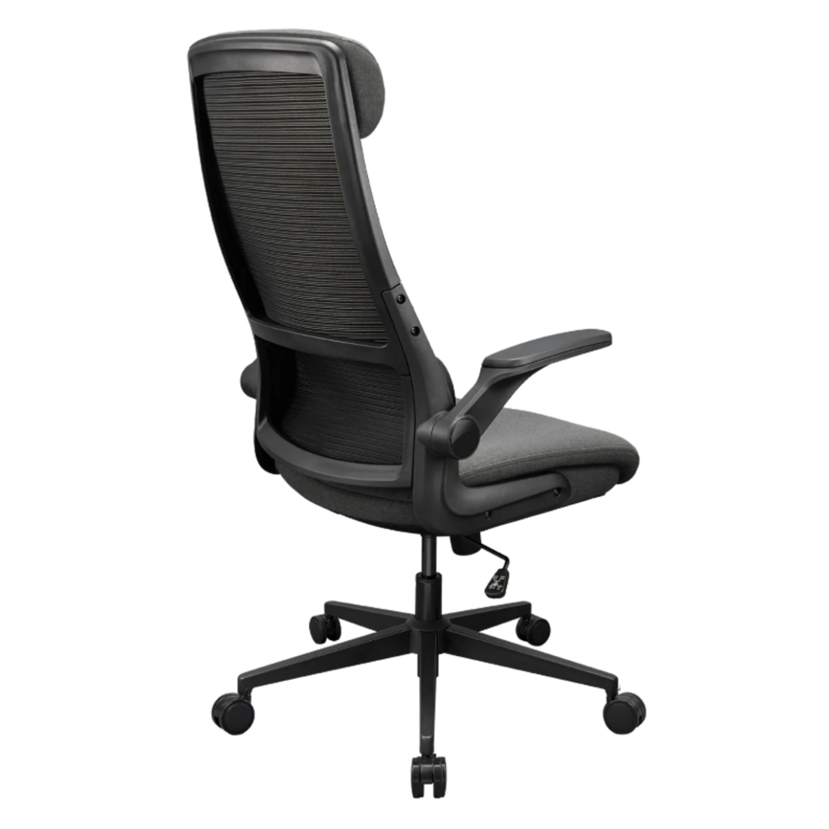 FTRHK-14037621-BACK-zoom