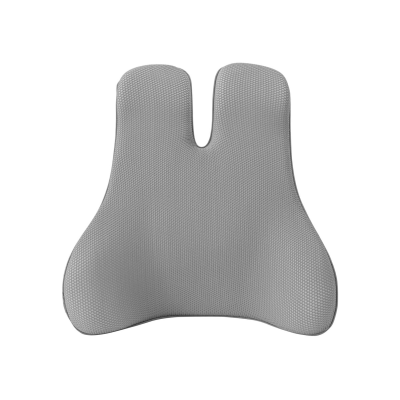AIDAPT Memory Foam Ergonomic Back Support Cushion (Grey)