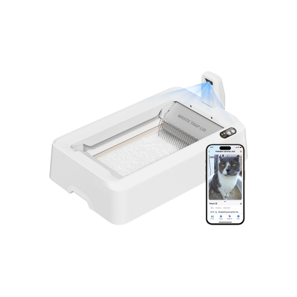 FTRHK-14044848-FRONT-zoom