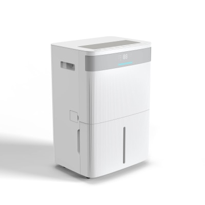 FTRHK-14045832-BACK-thumbnail