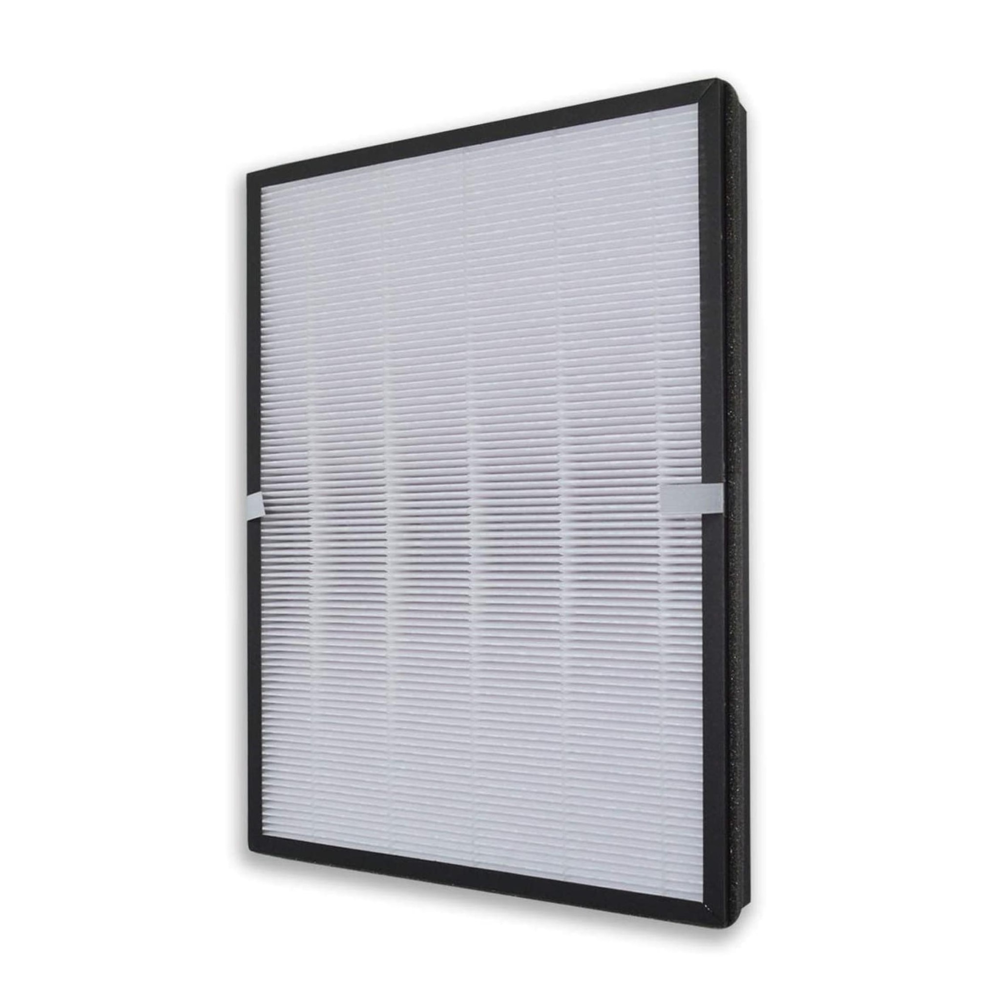 FTRHK-14056638-BACK-zoom