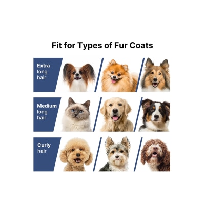 FTRHK-14058730-BACK-thumbnail