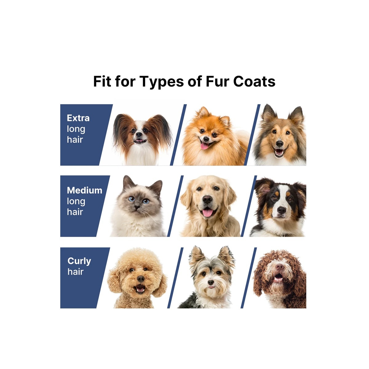 FTRHK-14058730-BACK-zoom