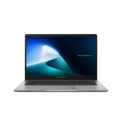 ASUS ExpertBook P1 Notebook