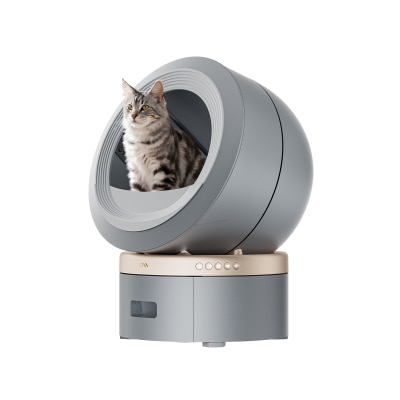 FTRHK-14066123-FEAT2-thumbnail