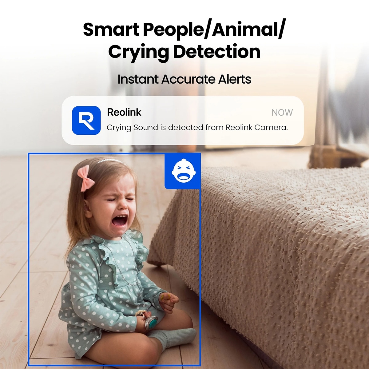 FTRHK-14067468-BACK-zoom