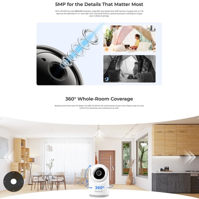 FTRHK-14067484-BACK-thumbnail