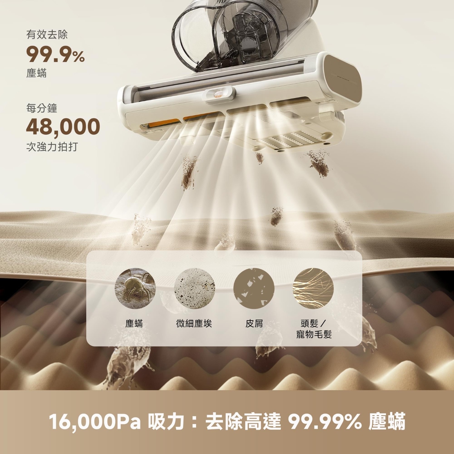 FTRHK-14079830-BACK-zoom