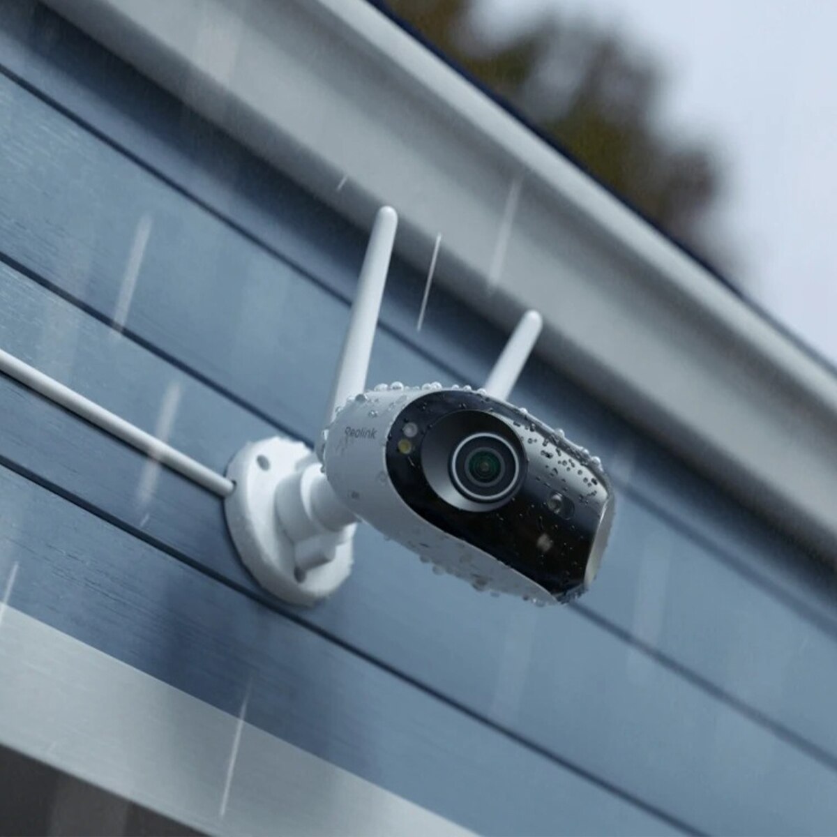 FTRHK-14083880-FEAT1-zoom