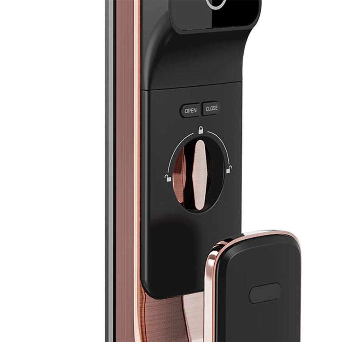 FTRHK-14092874-BACK-zoom