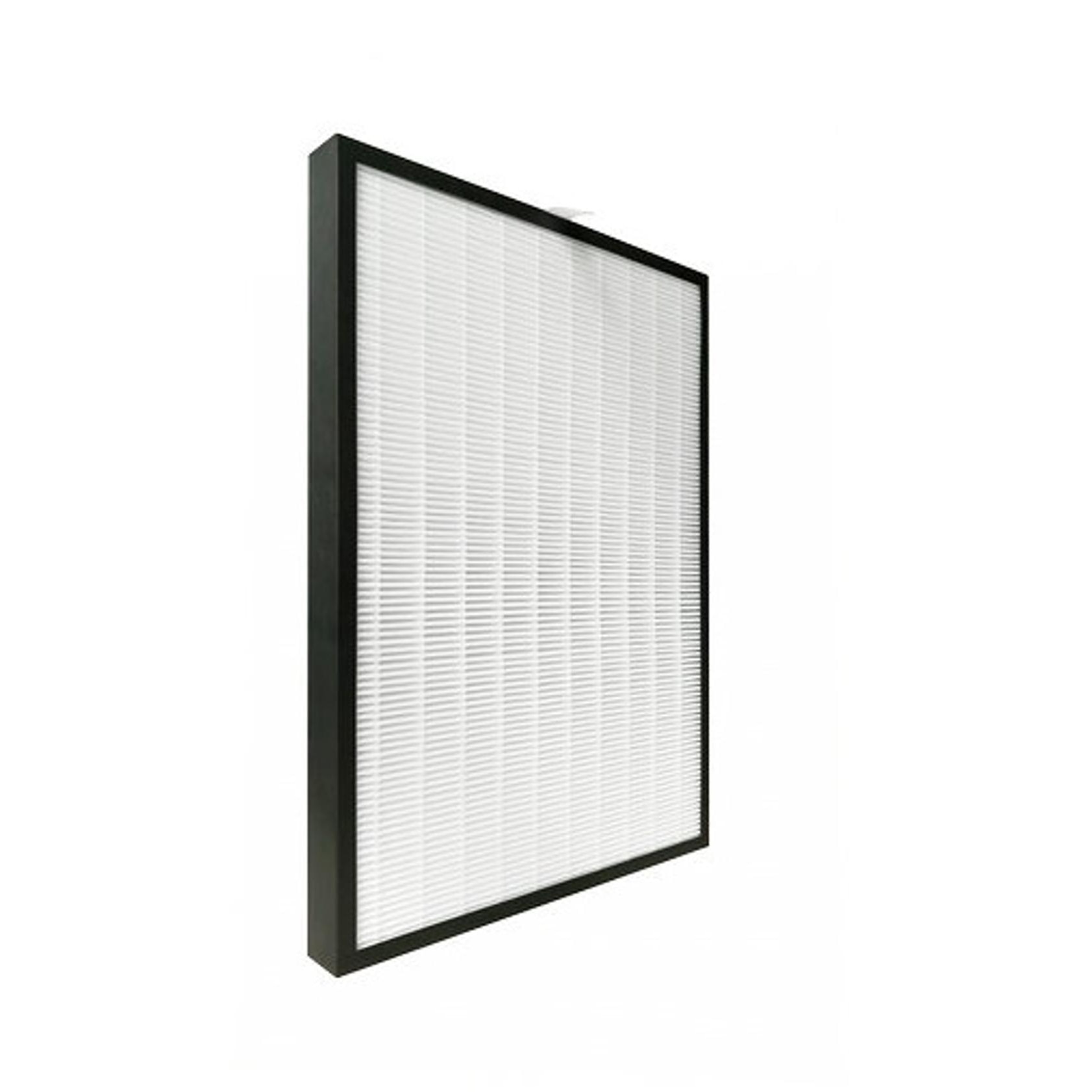 FTRHK-14105330-BACK-zoom