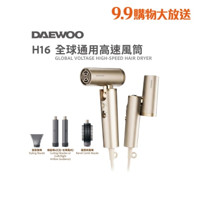 DAEWOO H16 全球通用( 可折疊)高速風筒 image