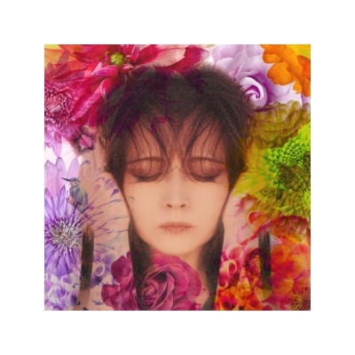 OTHERS 其他 中森明菜 AKINA NAKAMORI ‑ FIXER2LP
