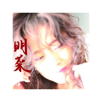 OTHERS 其他 中森明菜 AKINA NAKAMORI - AKINA [LP]