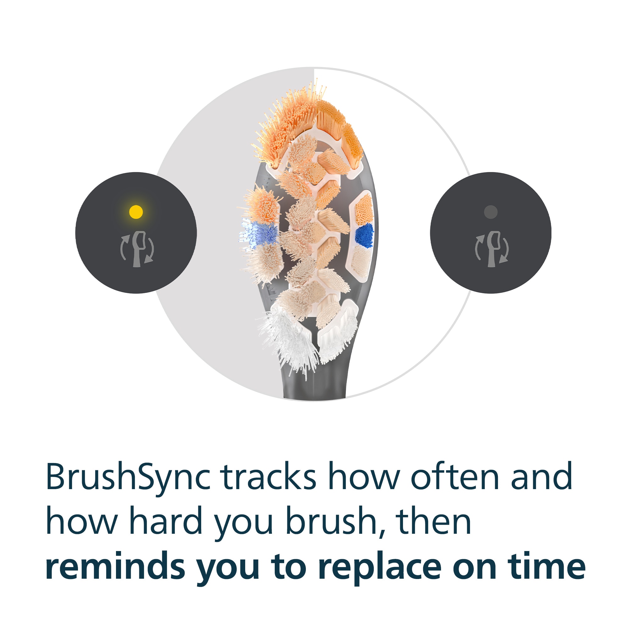 FTRHK-14139636-FEAT1-zoom