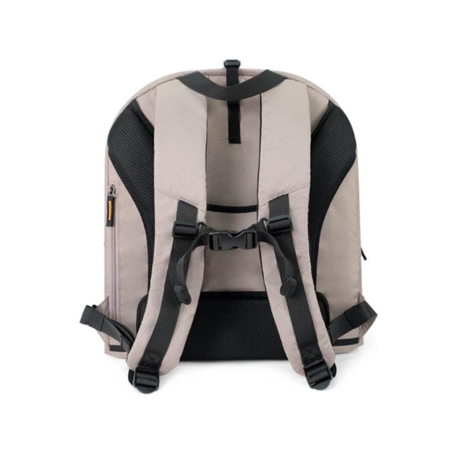 FTRHK-14148997-BACK-zoom
