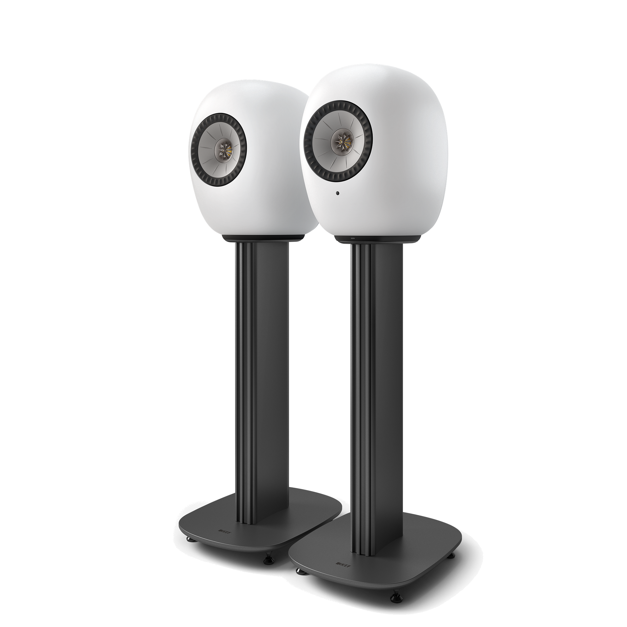 FTRHK-14164559-SIDE-zoom