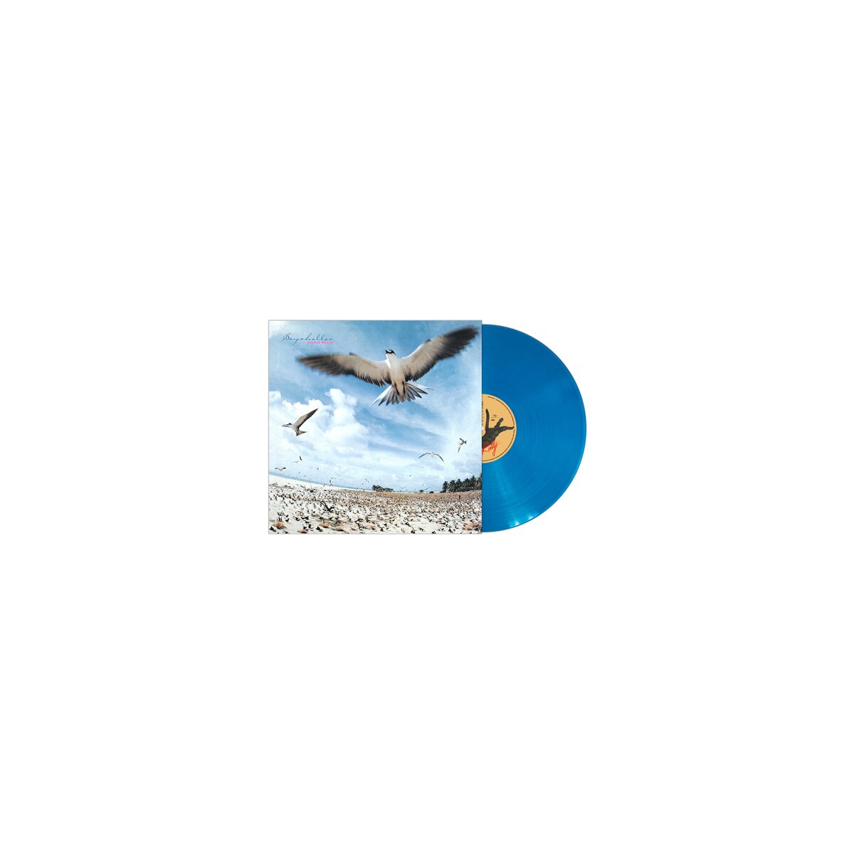 FTRHK-14166597-BACK-zoom