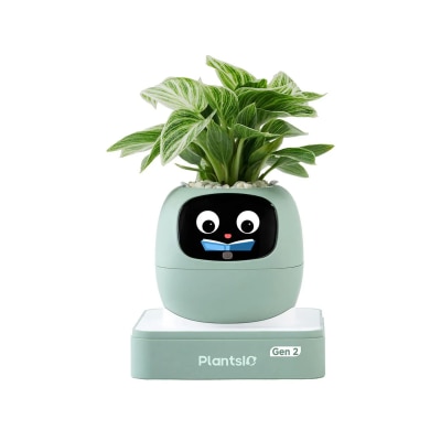 PLANTSIO Ivy Gen 2 智能盆栽