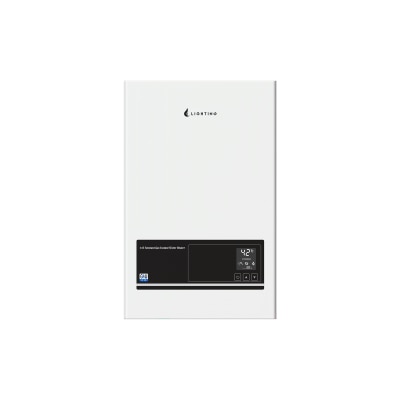 Lighting LG 12L 12L LP gas back flue water heater Water Heater image
