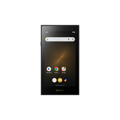 SONY NW ZX900 Walkman Signature Series Digital Audio Player image