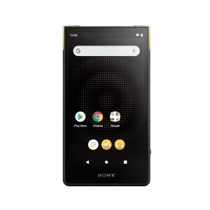 SONY mdk-77 カラオケ ソニー SONY レーザーディスク カラオケ アンプ MDK-77A価格