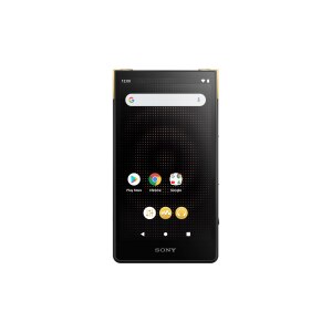 SONY NW-ZX707 Digital Audio Player | Fortress