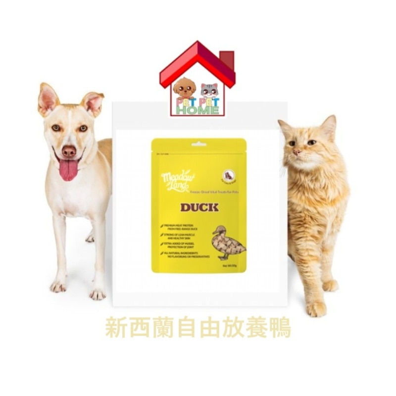 MDT05.a-1oslavp9-zoom