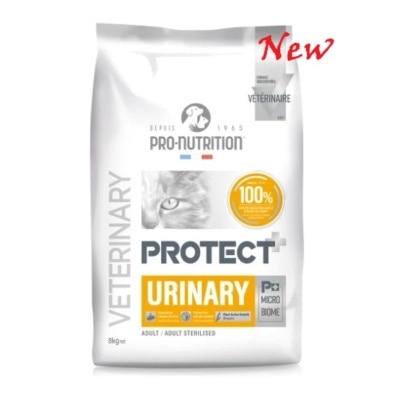 PC02_2N-eHx9F199-thumbnail