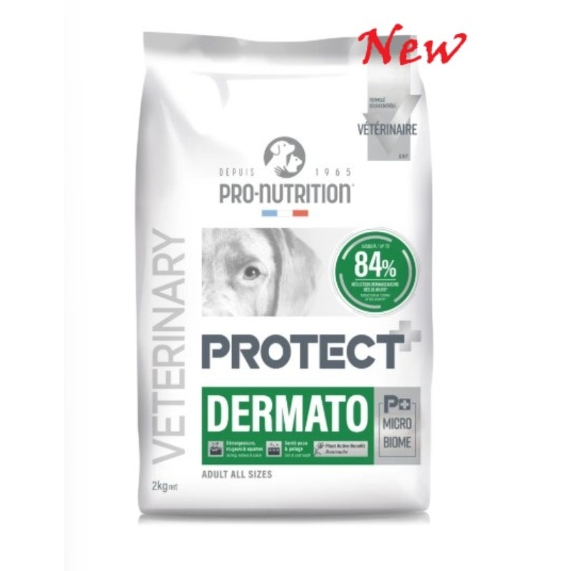 PD01-2K-EWFGgQQO-zoom