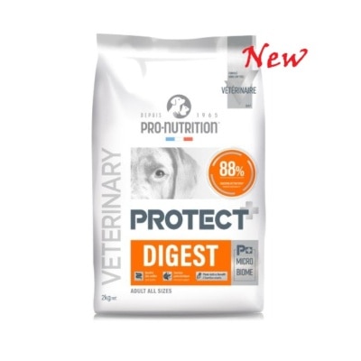 PD02-2K-vaI5tfRj-thumbnail