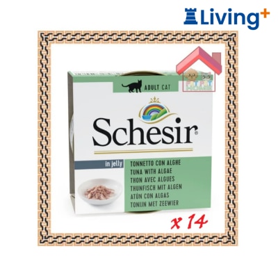 Schesir SchesiR 主食罐系列 [SCH164179] 啫喱(in jelly) 吞拿+海藻貓罐頭 85g (4017)