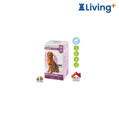 PROVET Anti Aging Formula For Dogs 30 Caps [6816A] image
