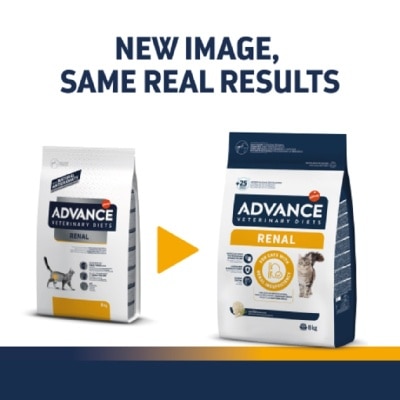 ef4821e8222f03f8c25b7bdbff2b84bd-570x570-BJifNO10-thumbnail